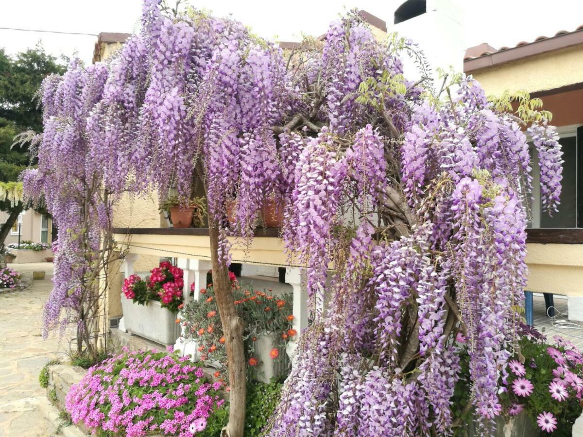 Casa Vacanze La Guzzetta Ranch Villa Canaglia ภายนอก รูปภาพ